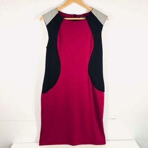 Business casual colorblock fuchsia grey black sleeveless sheath dress bodycon
